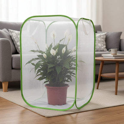  Medium PawHedge mesh plant cover over a peace lily on a wooden floor in a softly lit living room.