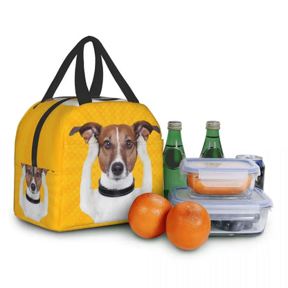 PawPack Jack Russell Terrier insulated lunch bag — size reference — SniffWaggleNWalk