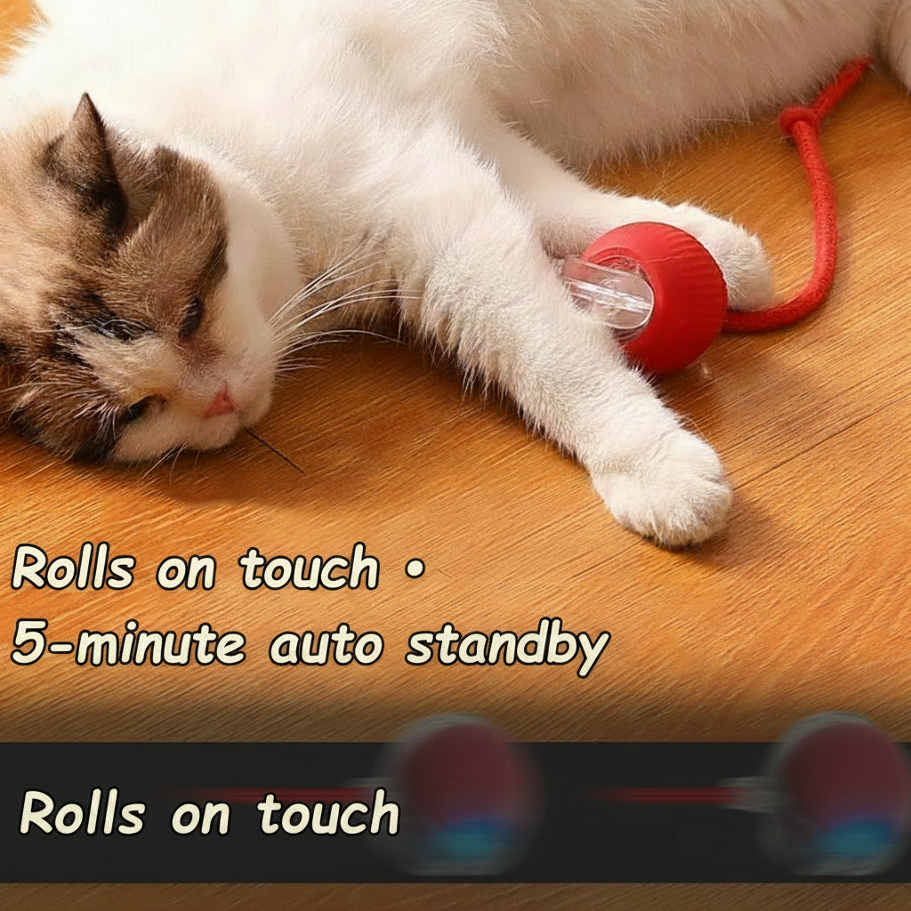 Cat mid-pounce chasing a red self-rolling ball with trailing tail across a hardwood floor in a sunlit room.