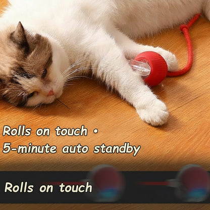 Cat mid-pounce chasing a red self-rolling ball with trailing tail across a hardwood floor in a sunlit room.