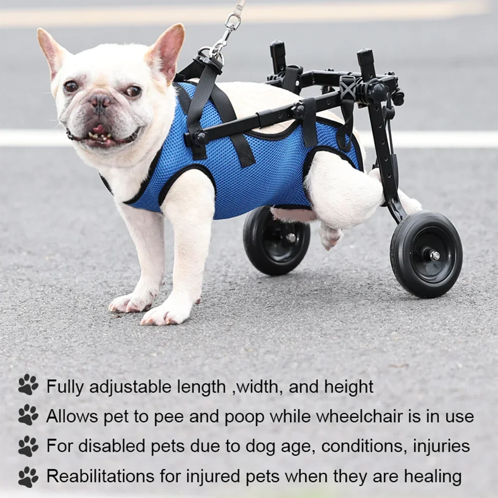 Close-up side view of a French bulldog using a PawRoll adjustable wheelchair on grass, showing harness fit.