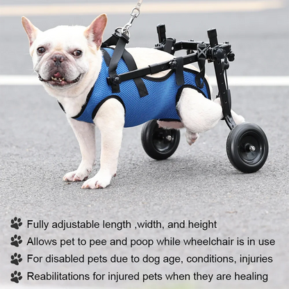 Close-up side view of a French bulldog using a PawRoll adjustable wheelchair on grass, showing harness fit.