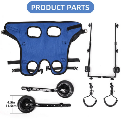 Size chart for PawRoll dog wheelchair showing chest girth, leg distance, width, length and height for XS, S, M
