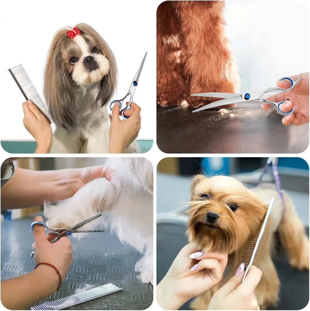 Five-piece stainless steel pet grooming scissor set in zip case — two curved pairs, straight, thinning shear, steel comb.