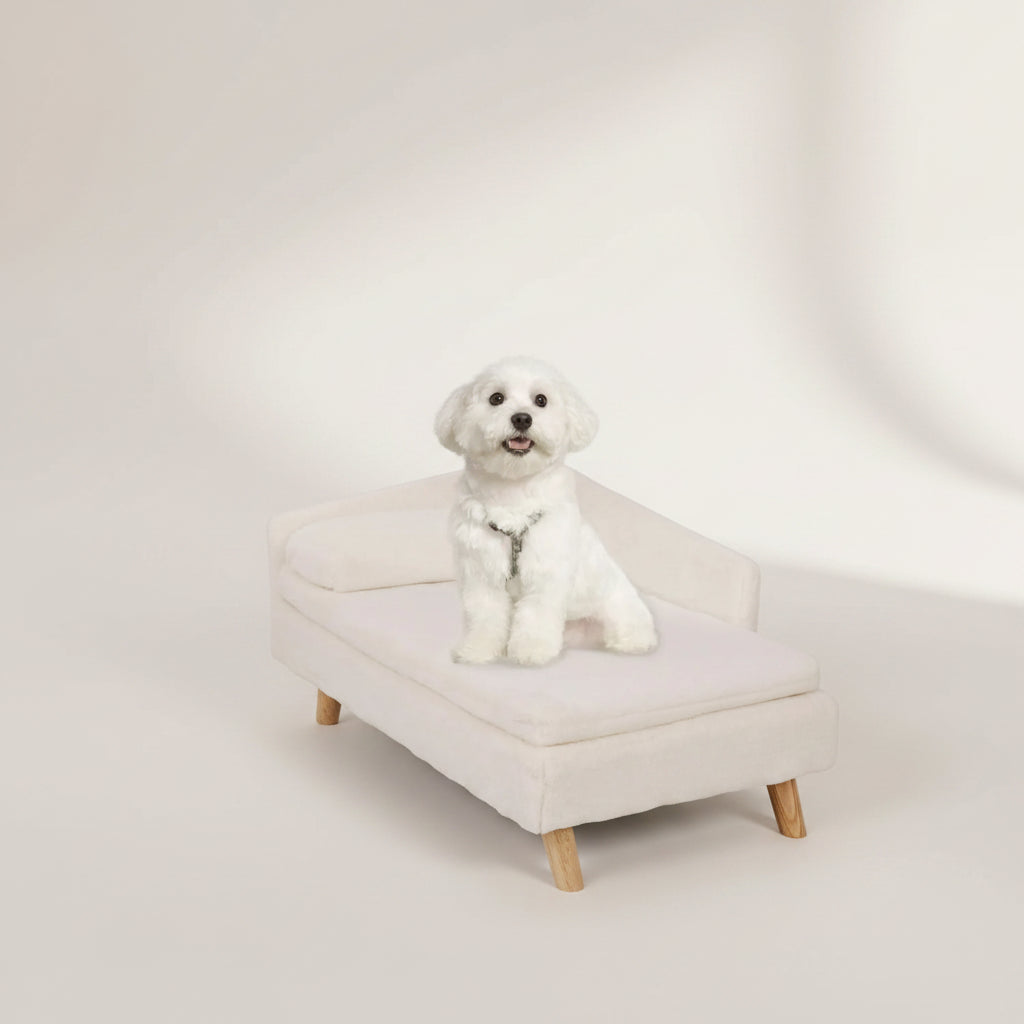 Corgi dog resting on PawSofa cream pet sofa in modern living room
