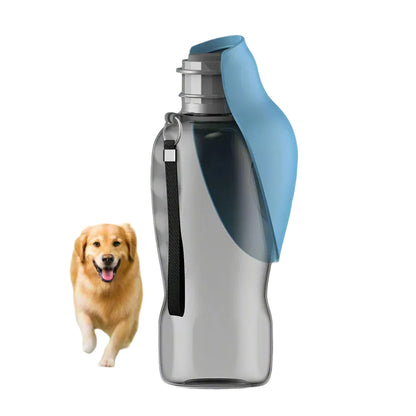 blue PawTrail dog travel water bottles photographed in a sunny park setting, ready for a walk