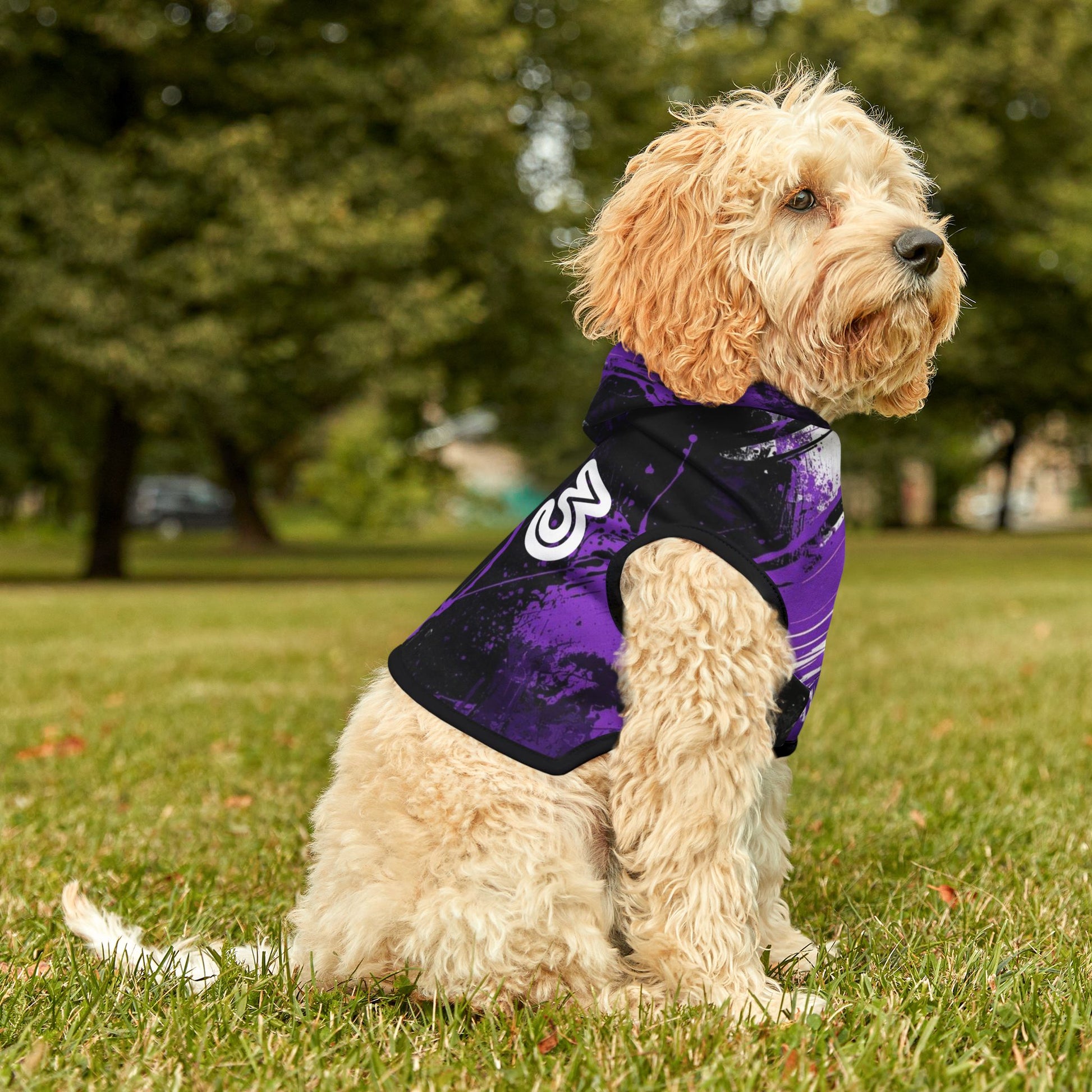 Dog wearing a purple jacket with a 333 angel number