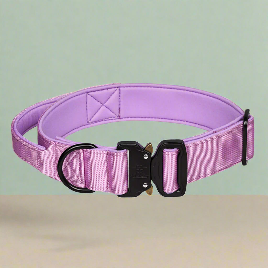 Lilac CobraCollar padded tactical dog collar — auto-lock cobra buckle