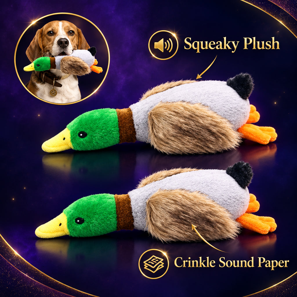 Plush squeaky duck dog toy, soft chew toy for small and medium dogs