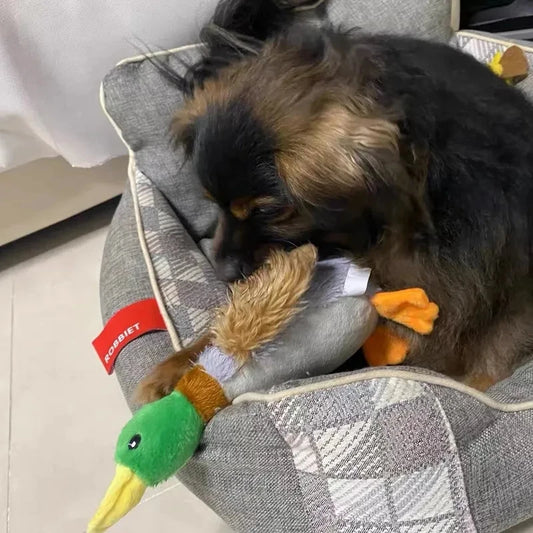 QuackPal plush squeaky duck dog toy, photo 2