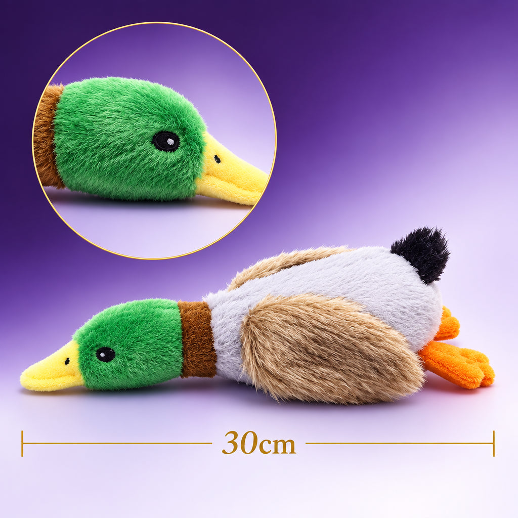 QuackPal plush squeaky duck dog toy, photo 3
