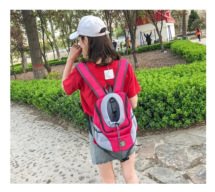 Person wearing a pink and gray dog backpack outdoors on a stone path.