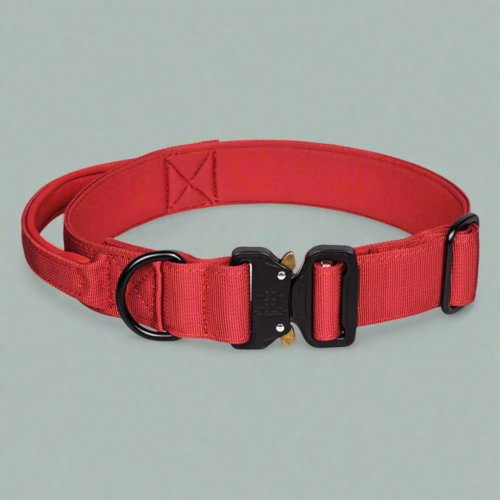 Red CobraCollar padded dog collar side view — reinforced nylon webbing and alloy D-ring