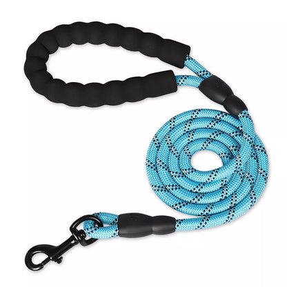 ReflectiGuard Reflective Dog Leash — dog on walk with leash — SniffWaggleNWalk
