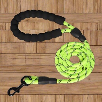 ReflectiGuard Reflective Dog Leash — in use on a walk — SniffWaggleNWalk