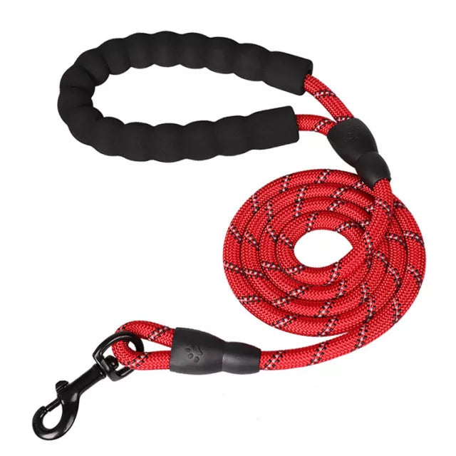 ReflectiGuard Reflective Dog Leash — reflective glow at night — SniffWaggleNWalk