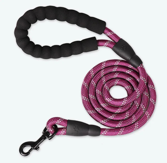 ReflectiGuard Reflective Dog Leash — attached to collar — SniffWaggleNWalk