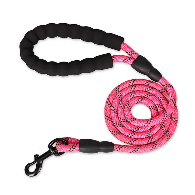 ReflectiGuard Reflective Dog Leash — close-up of webbing texture — SniffWaggleNWalk