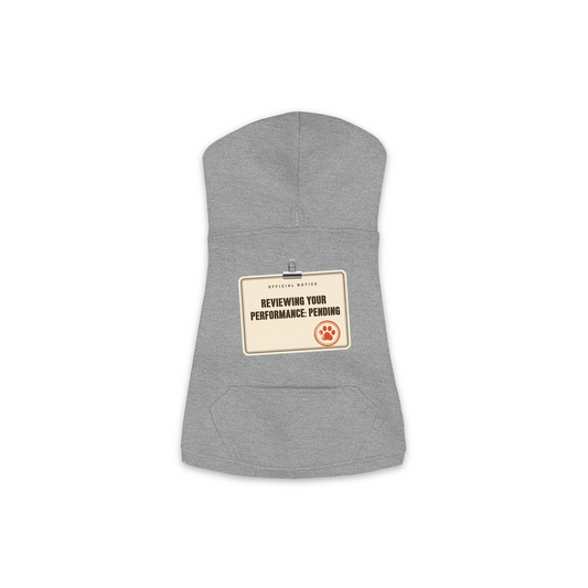 Reviewing Your Performance, Pending dog hoodie in Granite Heather, sizes XS to M