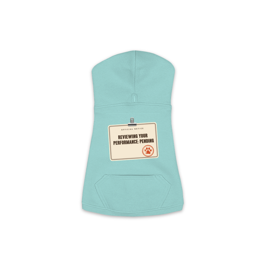 Reviewing Your Performance, Pending dog hoodie in Saltwater, sizes XS to M