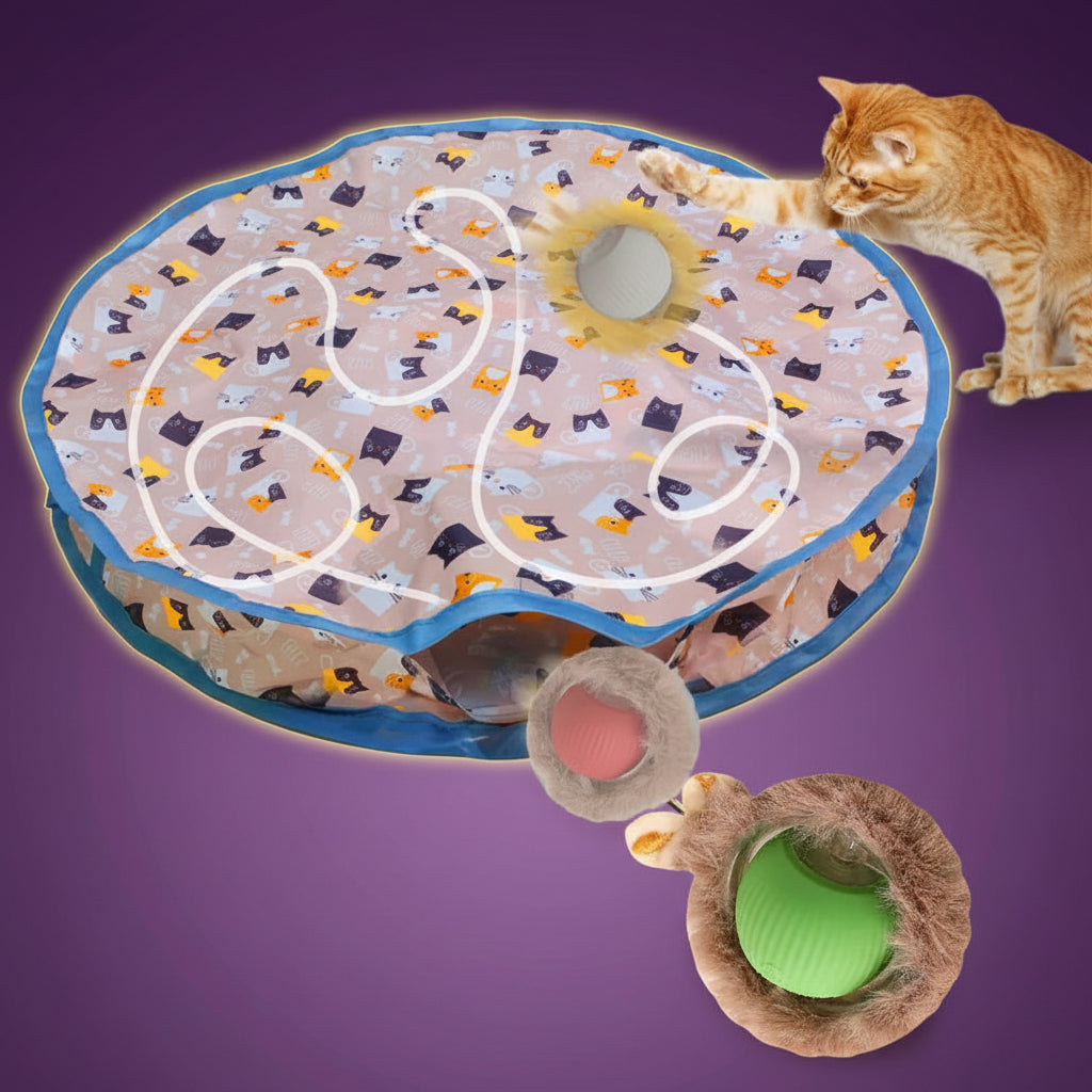 A motion-activated cat toy with a patterned surface and a cat's paw partially visible, indicating interactive play. A hide-and-seek pouch is also shown, and there are musical notes and a bird icon suggesting motion and play.