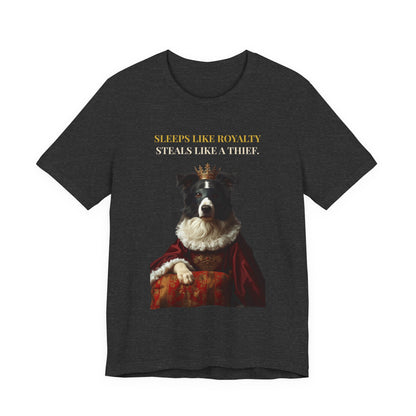 Sleeps Like Royalty Border Collie T-Shirt — lifestyle photo