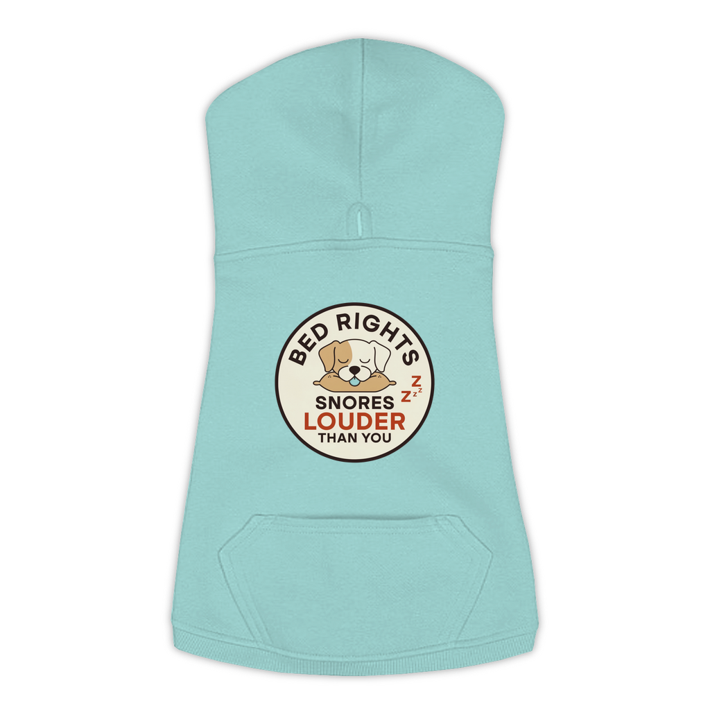 Snores Louder Than You funny dog hoodie in saltwater blue, sizes L to 3XL