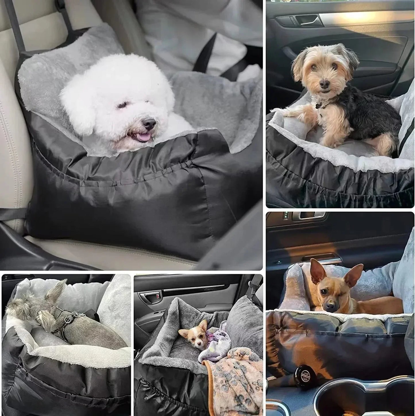 Collage of dogs in a car seat cover in various positions.