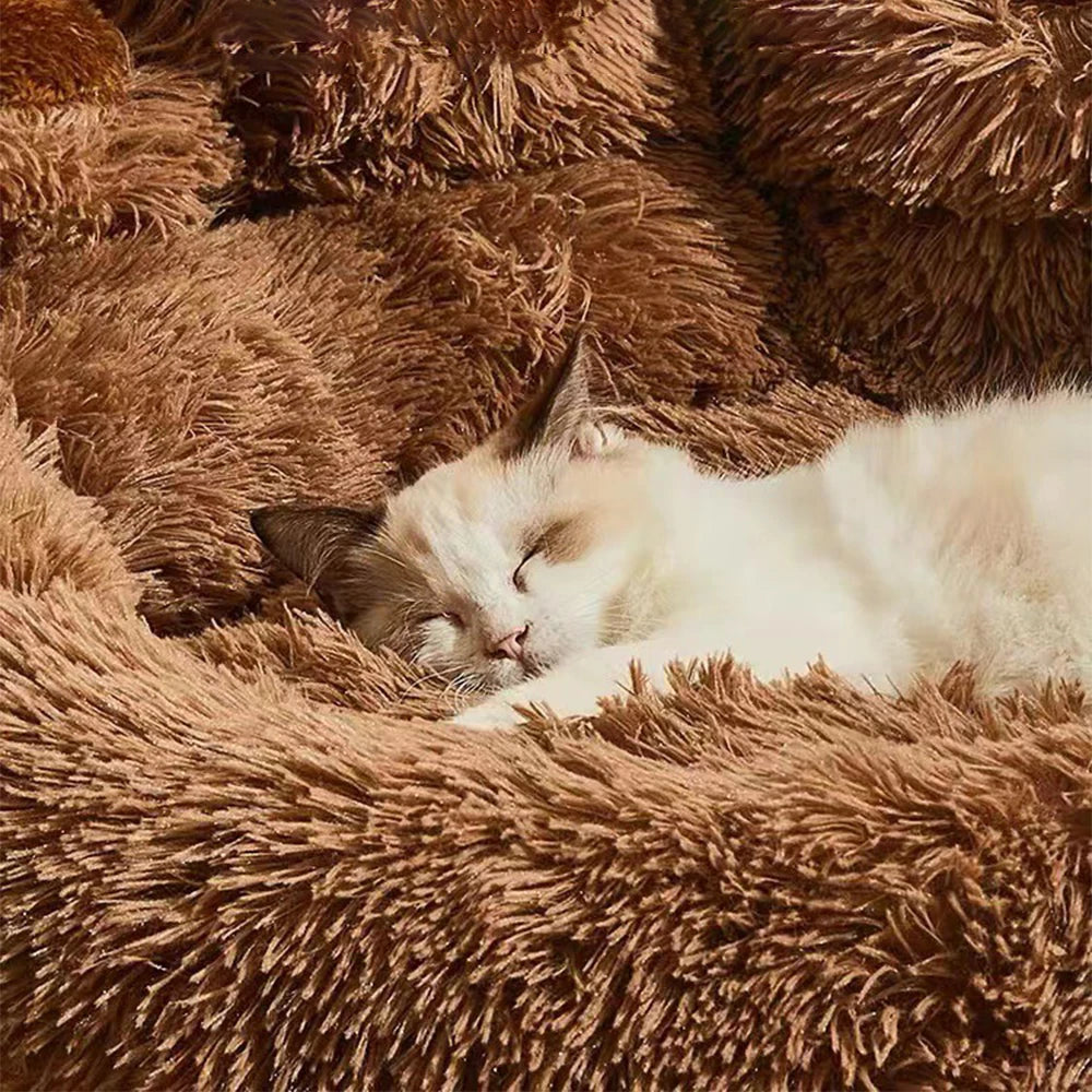 Close-up detail of PoshPup PawCloud bear paw plush dog bed — long faux fur, toe-bean bolster and non-slip base — SniffWaggleNWalk