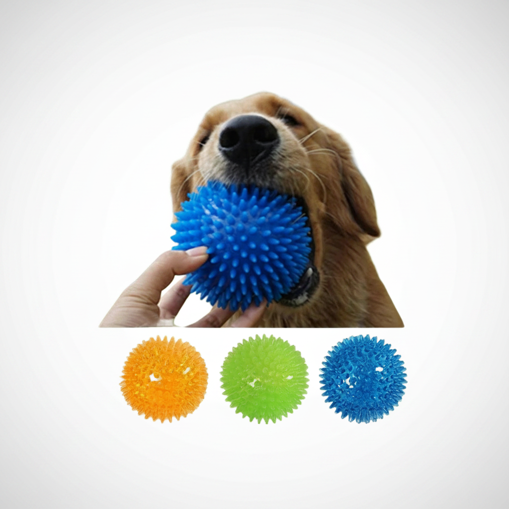 SniffWaggleNWalk SpikyClean purple spiky squeaky dental ball Golden Retriever carrying