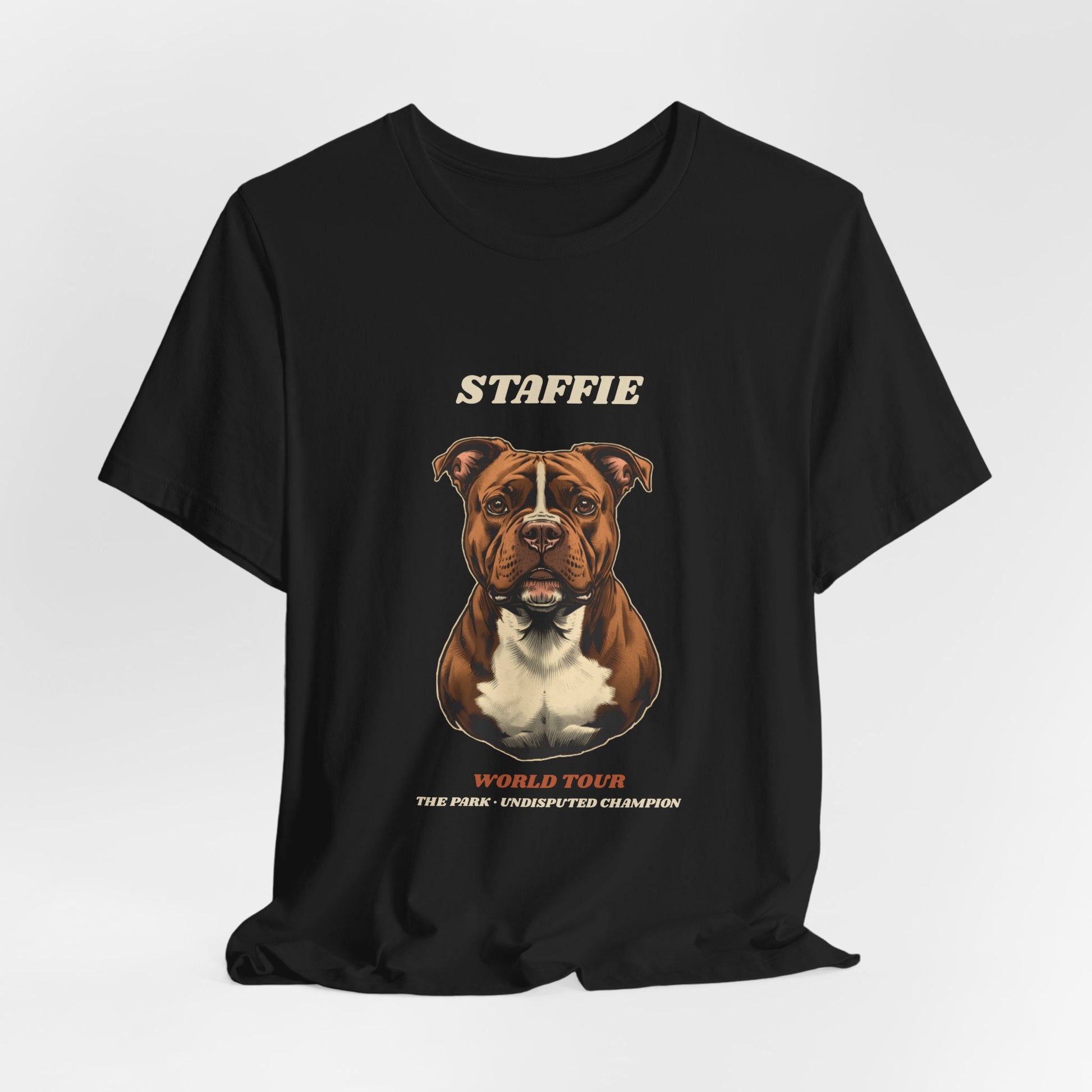 Staffie World Tour vintage band t-shirt on hanger