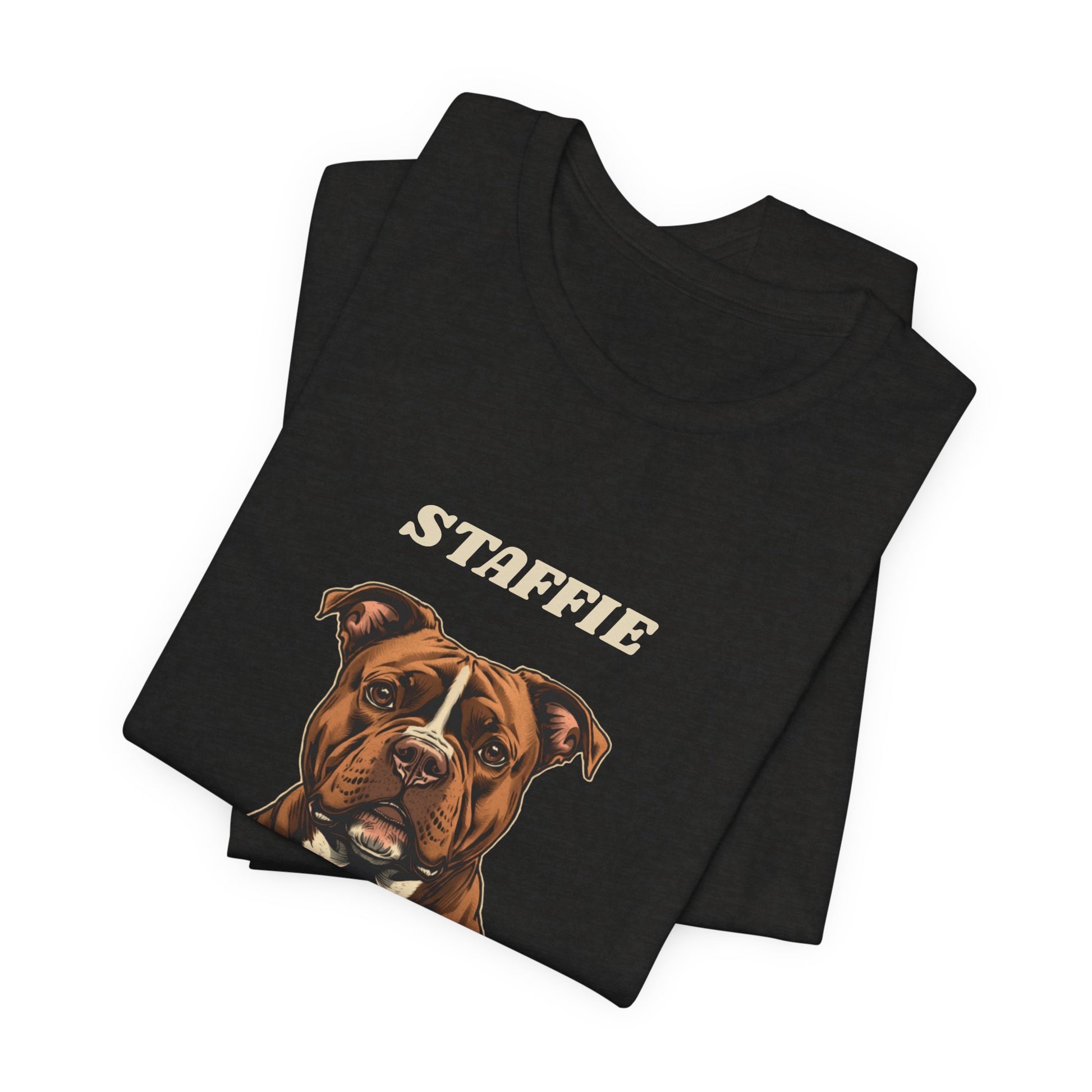 Staffie World Tour vintage band t-shirt size chart