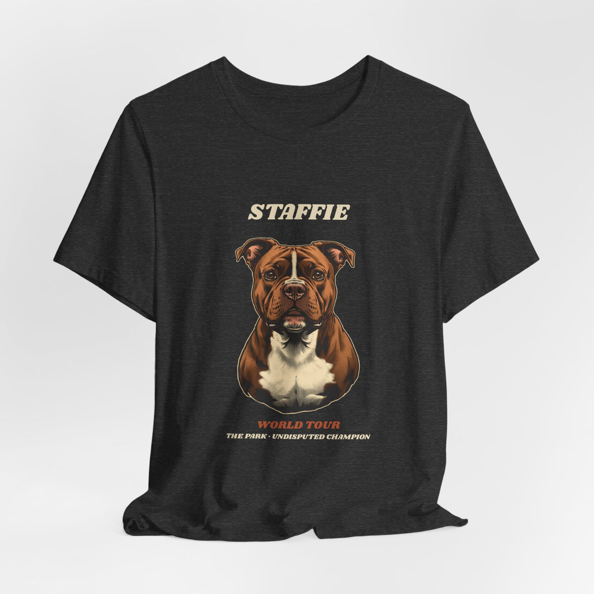 Staffie World Tour vintage band t-shirt fabric texture