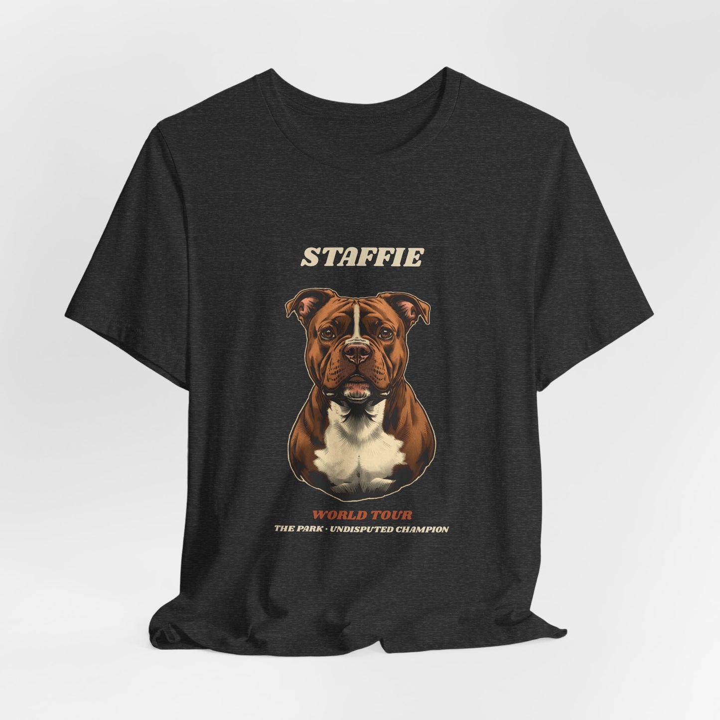 Staffie World Tour vintage band t-shirt fabric texture