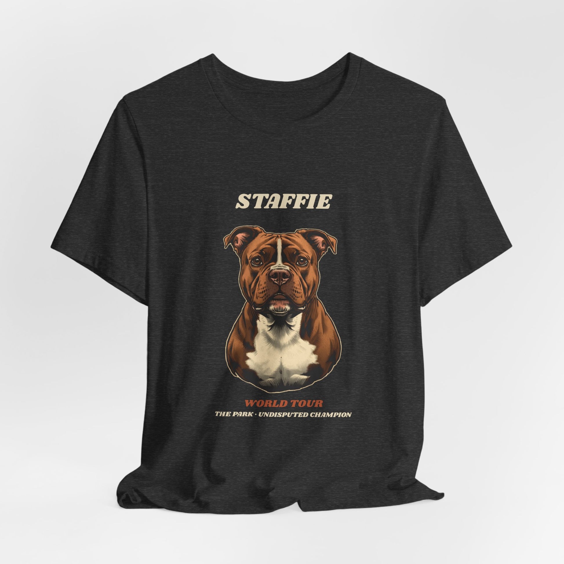 Staffie World Tour vintage band t-shirt fabric texture