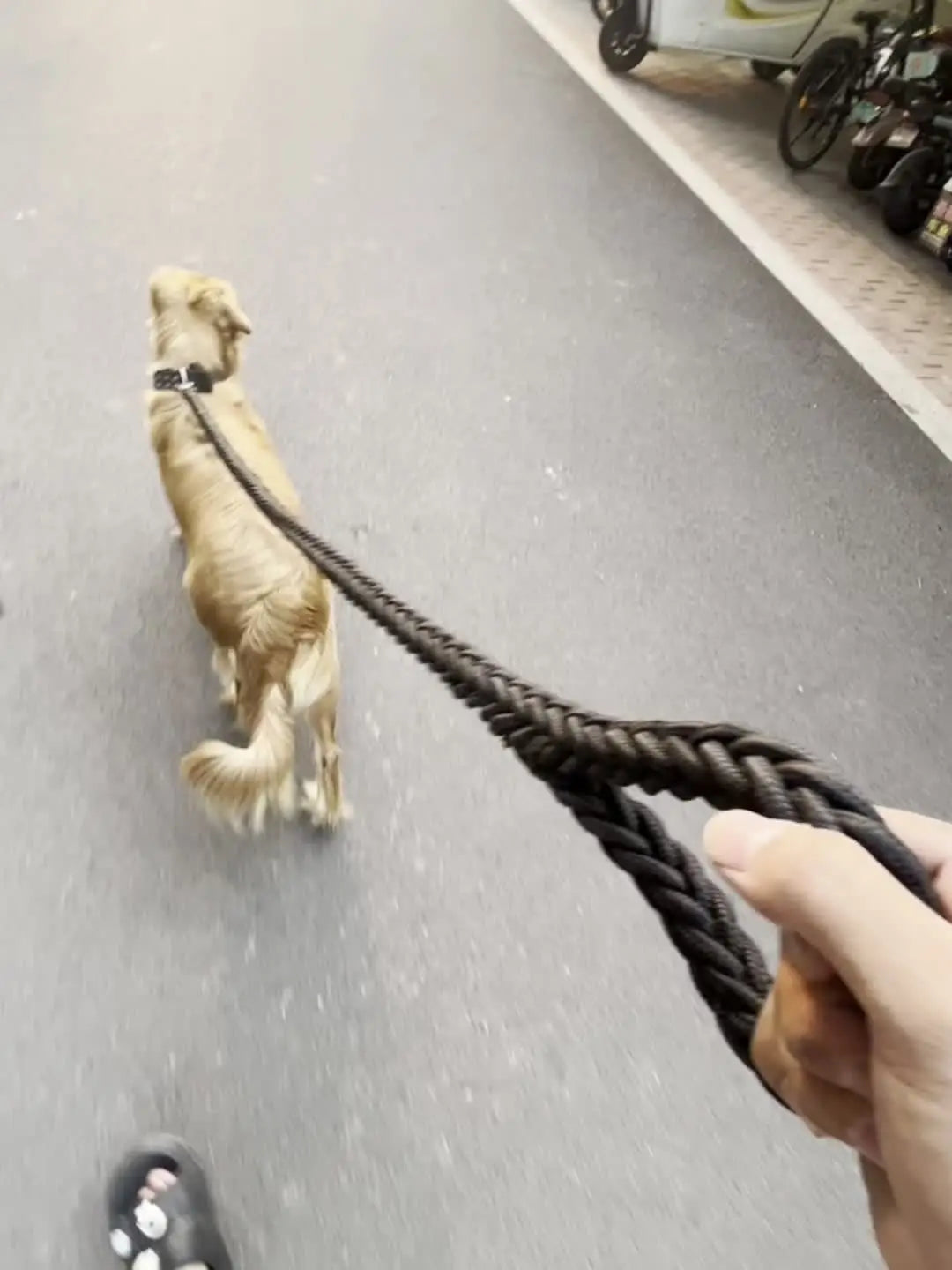 RopeLead braided polyester dog lead soft loop handle close-up