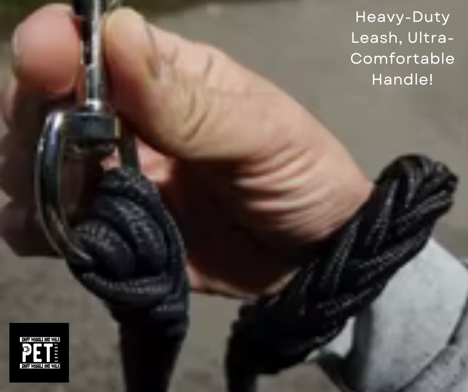 RopeLead braided rope lead in use with large dog walking