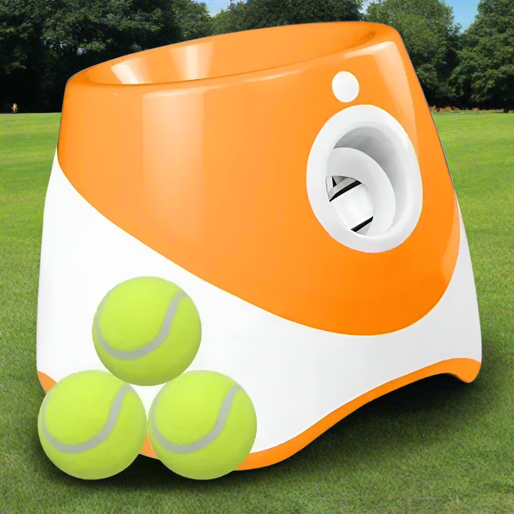 The Ultimate pet ball Launcher. - Sniff Waggle And Walk