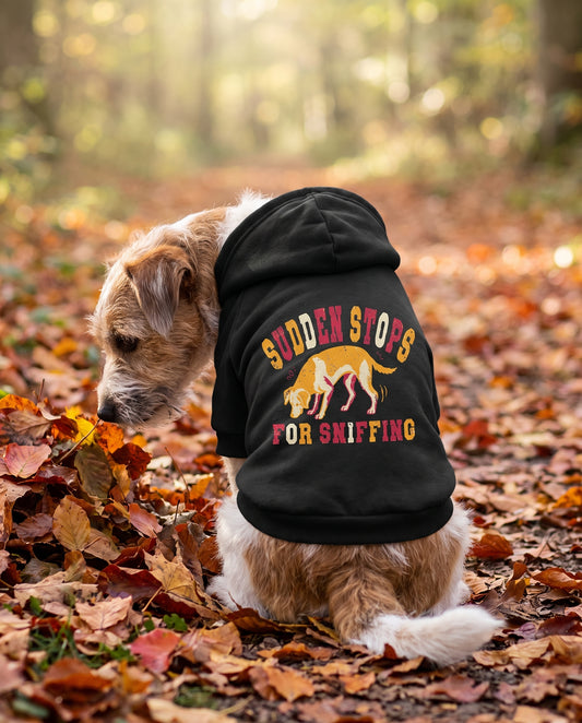 Terrier sitting on an autumn path wearing the black Sudden Stops for Sniffing Dog Hoodie, back view — SniffWaggleNWalk™