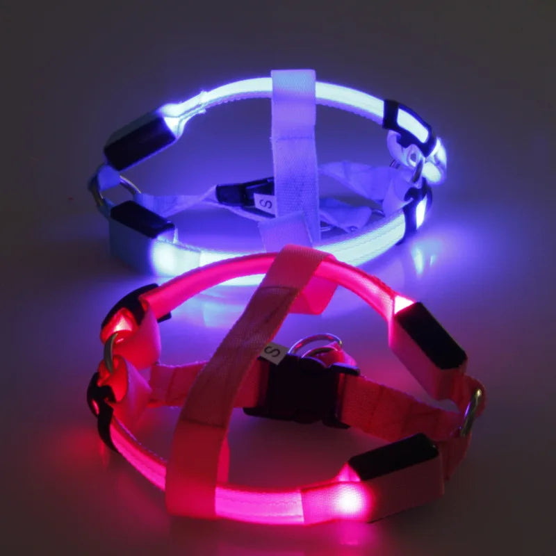 best Illuminate Harness by - Sniff Waggle And Walk