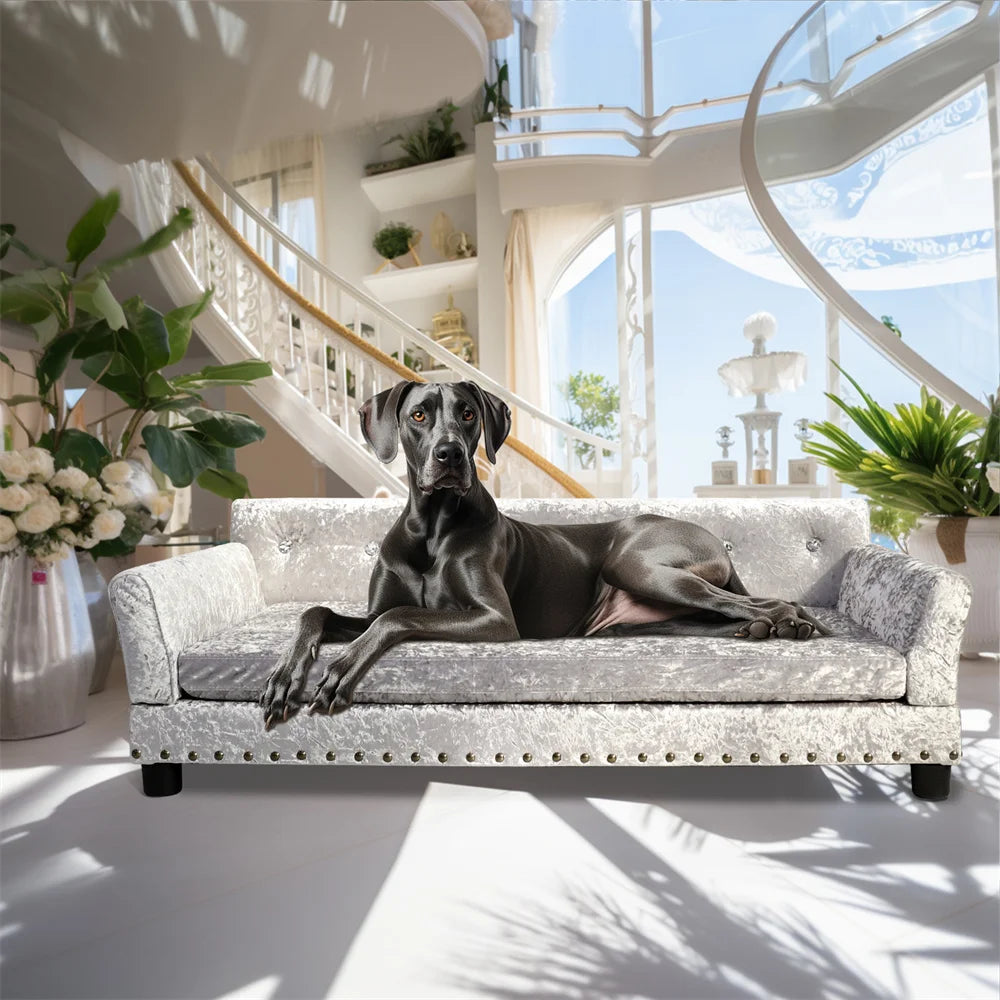 Luxury velvet dog sofa bed in elegant living room - side profile view