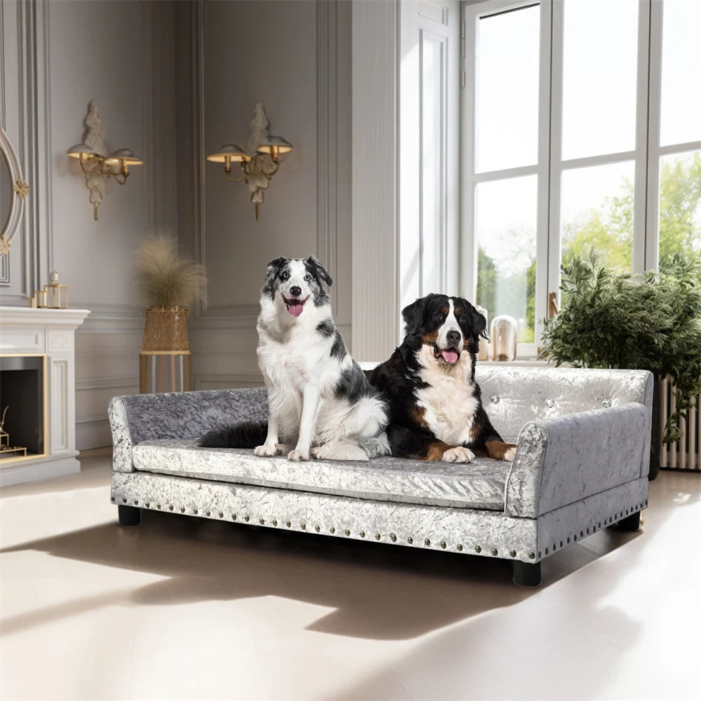 Cat sitting beside Grand Pawdiere large dog sofa bed showing full size scale