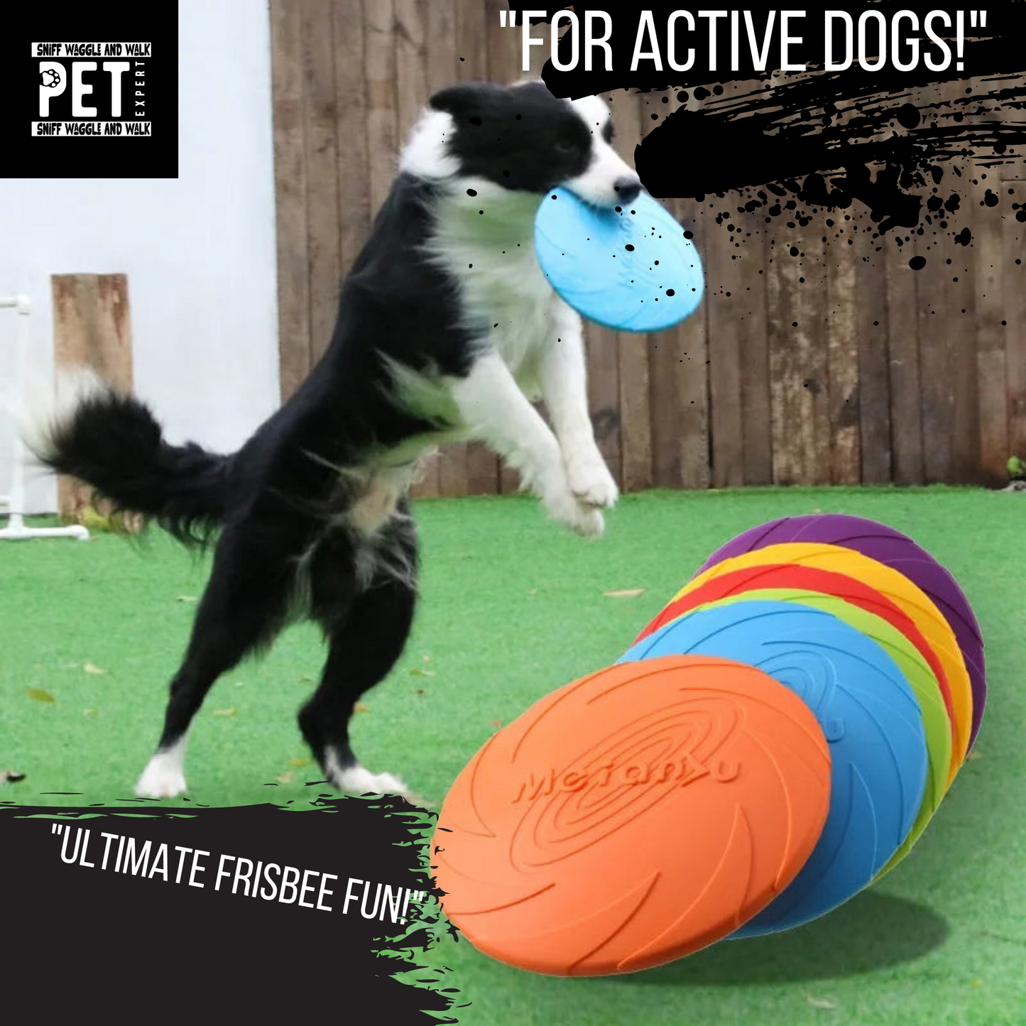 Tough Fetch Discmaster - Durable Dog Frisbee for Active Play.Sniffwaggleandwalk™