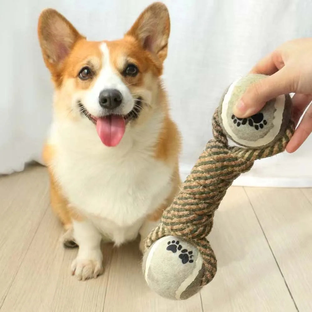 EcoTug cotton rope dumbbell dog toy Border Collie carrying on beach