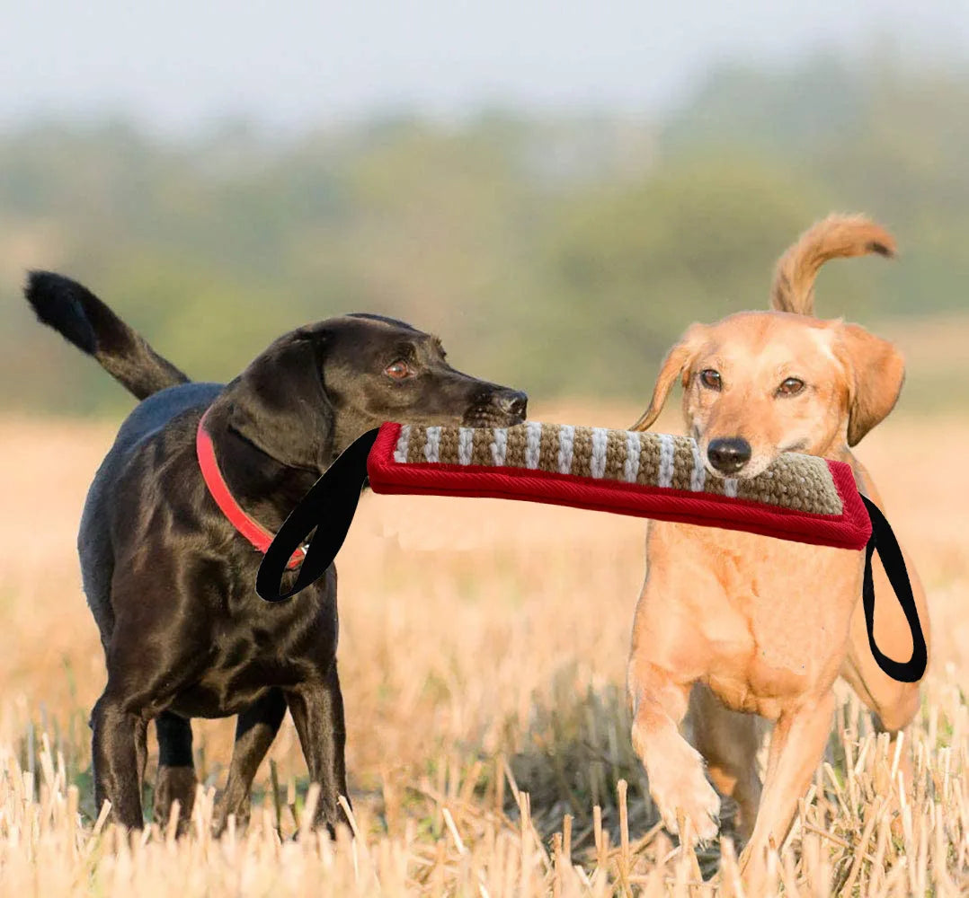 ToughTug Dog Training Tug Toy — braided weave, main view — SniffWaggleNWalk