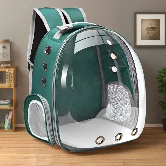 Transparent Capsule Bubble Pet Backpack in black colourway — SniffWaggleNWalk