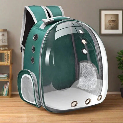 Transparent Capsule Bubble Pet Backpack in black colourway — SniffWaggleNWalk