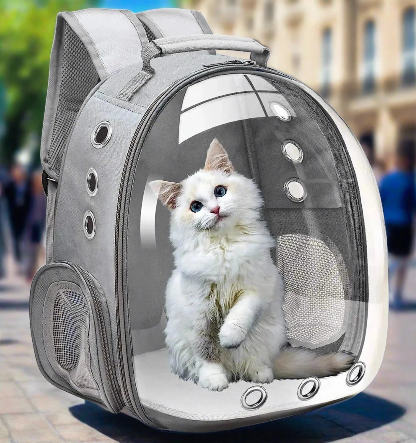 Transparent Capsule Bubble Pet Backpack with cat inside looking out — SniffWaggleNWalk