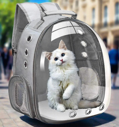 Transparent Capsule Bubble Pet Backpack with cat inside looking out — SniffWaggleNWalk
