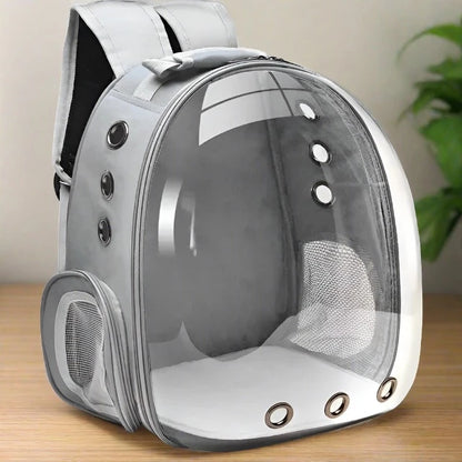 Transparent Capsule Bubble Pet Backpack in green colourway — SniffWaggleNWalk